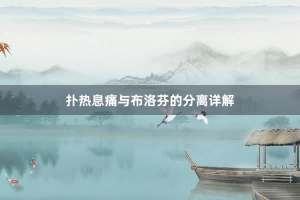 扑热息痛与布洛芬的分离详解